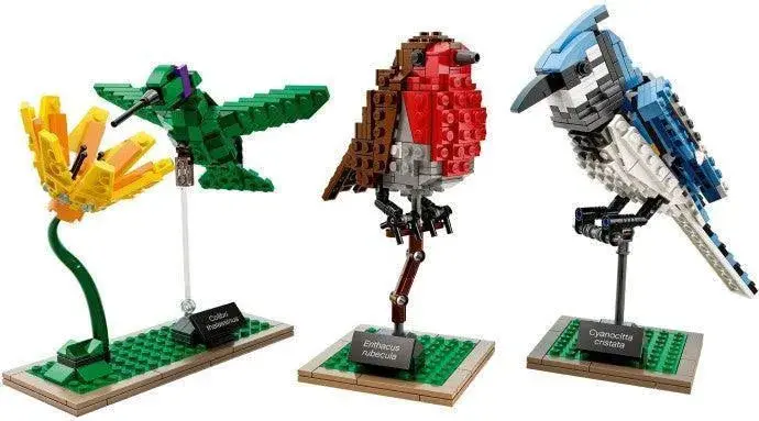 LEGO Ideas Birds Ornithology Collection (21301)